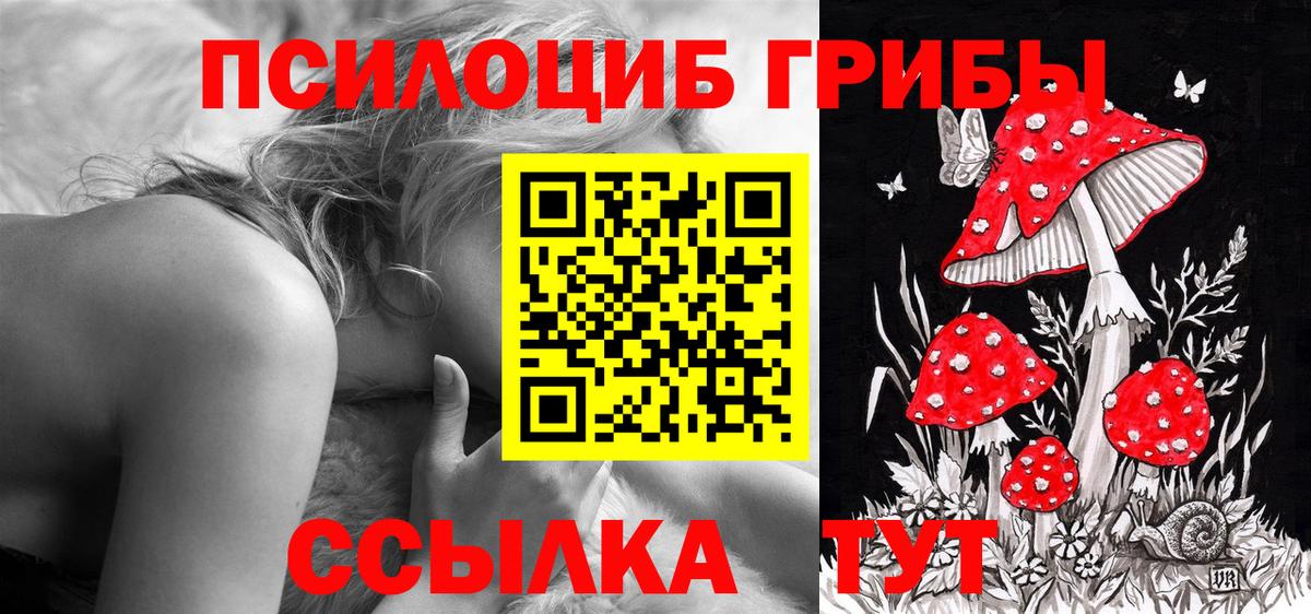 Курск  Галлюциногенные грибы GOLDEN TEACHER  Вход с VPN 